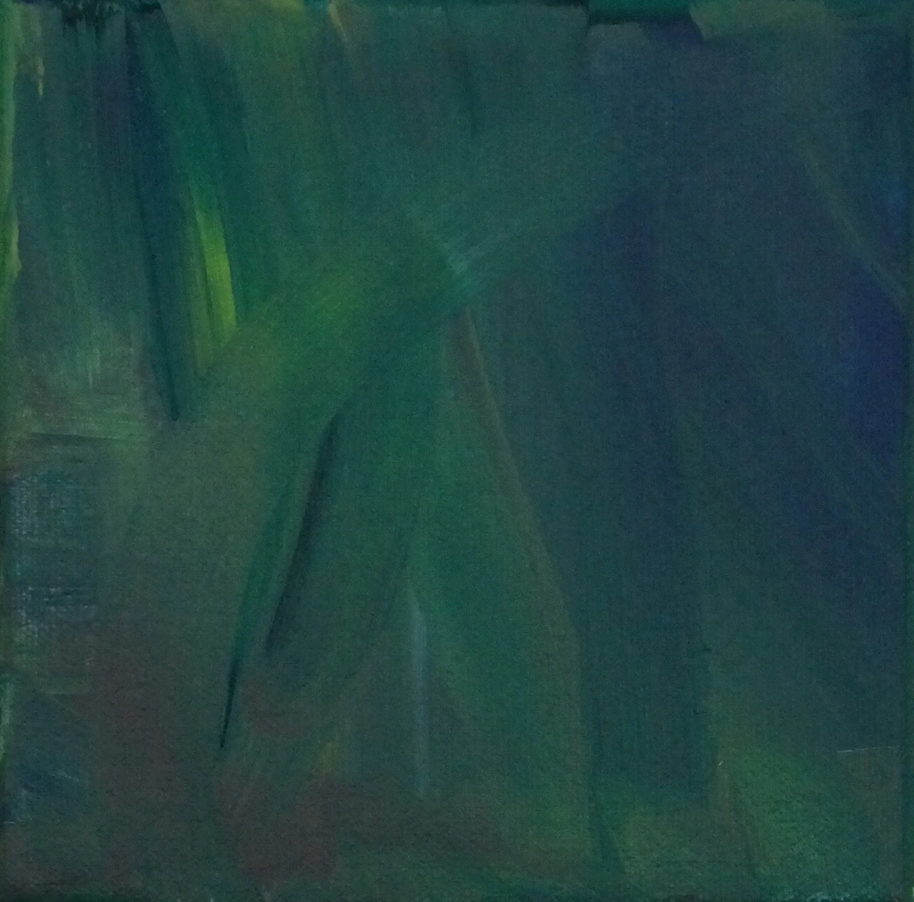 Rainforest in my mind — Nicole Sylvia Javorsky